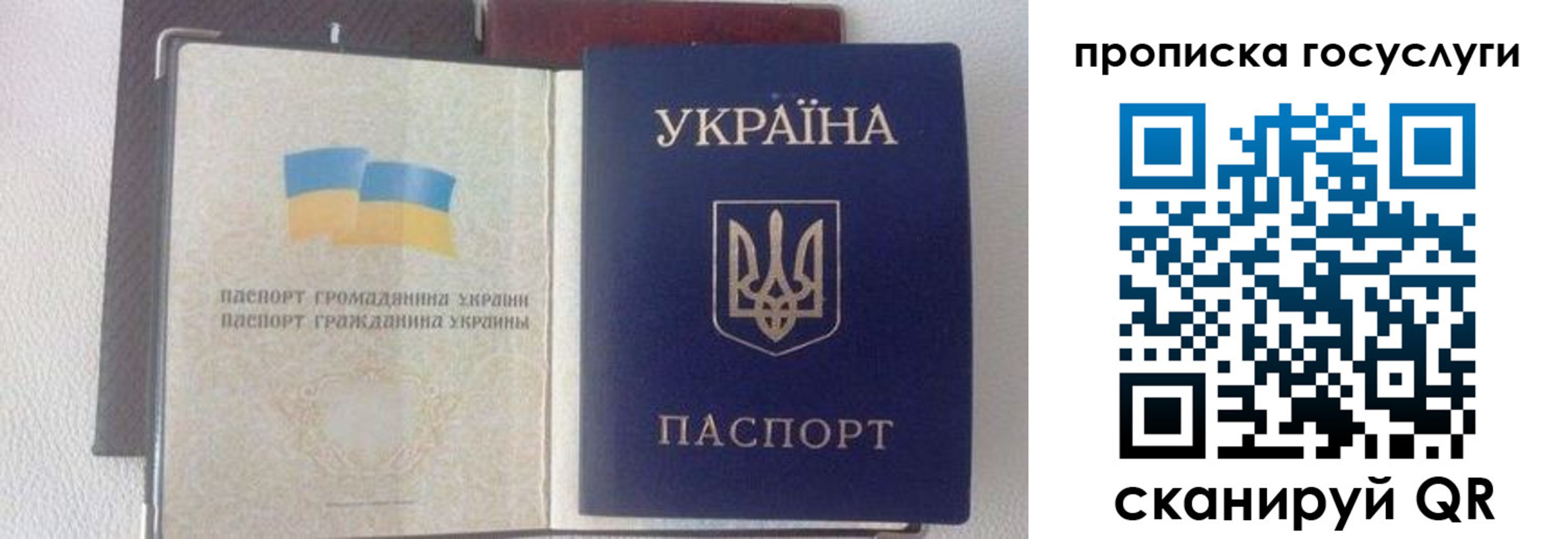 временная регистрация недорого в Бакале